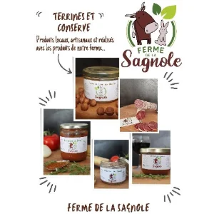 terrine de lapin
