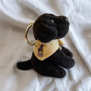 Porte clés peluche