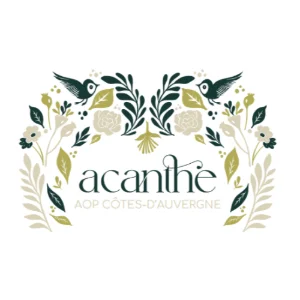 Acanthe